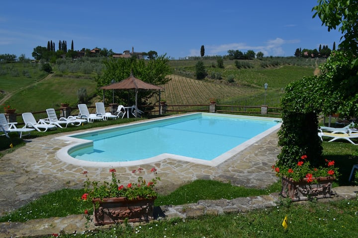 Apartment With Nice View On Chianti Wines - Greve in Chianti