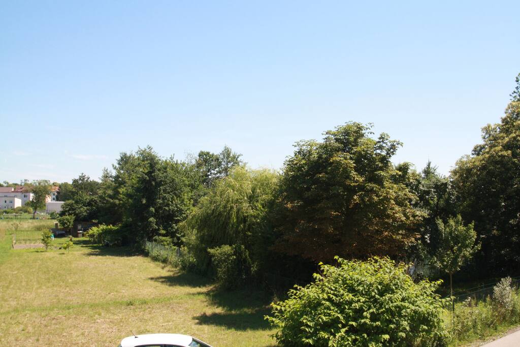 Blick aus dem 2. Schlafzimmer - hier geht die Sonne auf