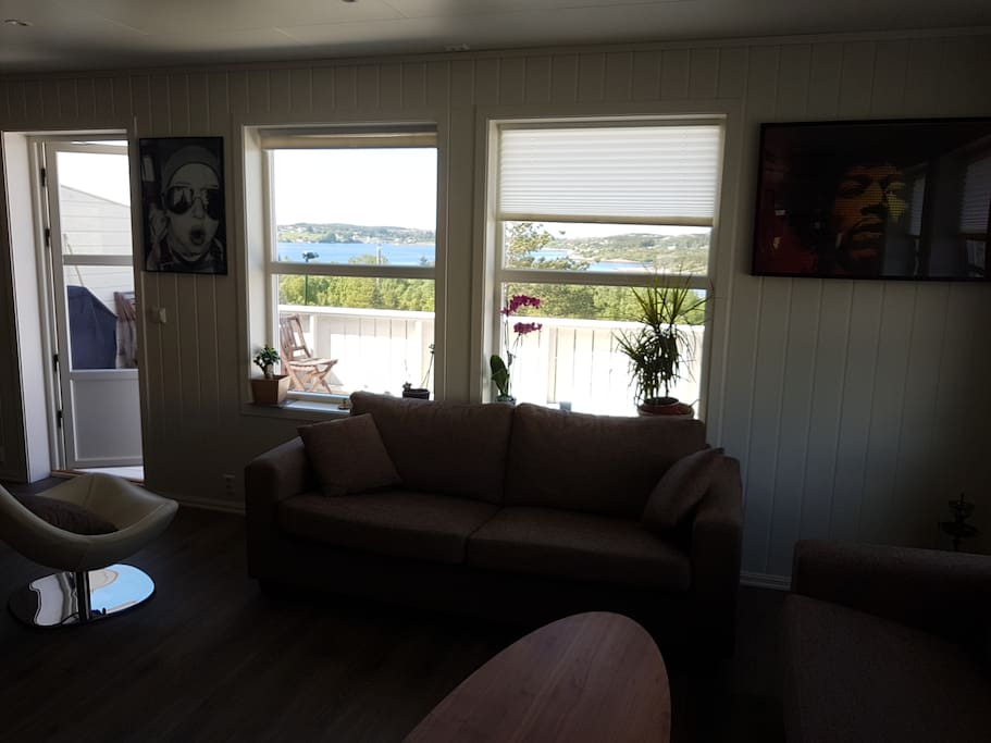 Living room with a view