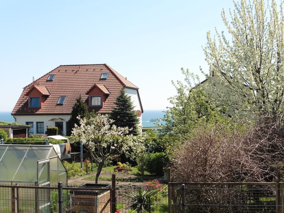 Blick vom Gartenhäuschen
(Sitzgelegenheit im Garten)