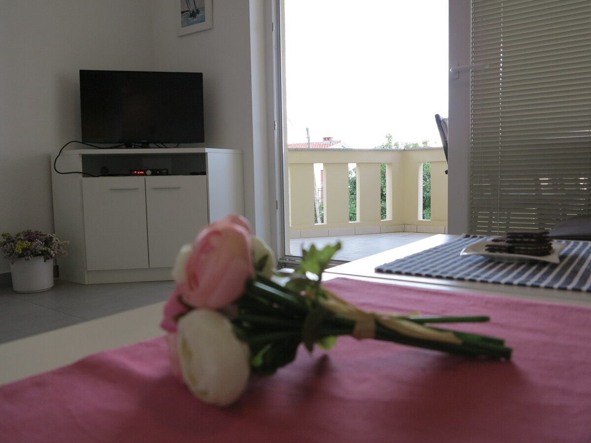 Apartman Adam