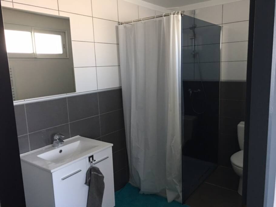 Salle d’eau avec douche et WC