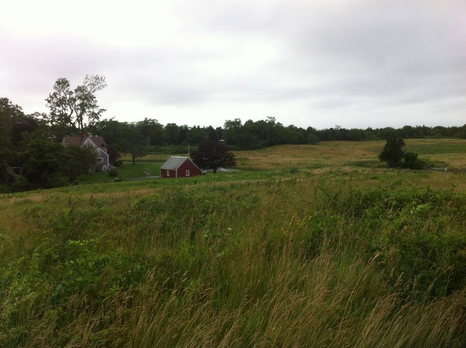Surrounded by fields...