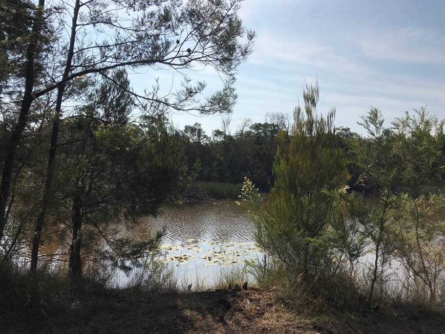 Our beautiful dam