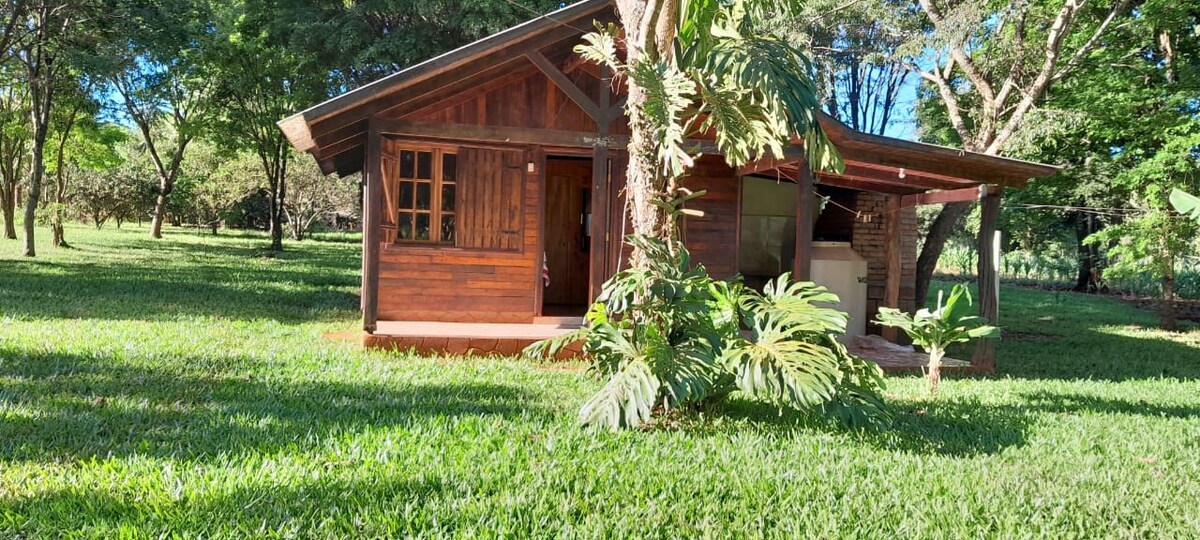 A wooden cabin is nestled among lush greenery, surrounded by tall trees. The facade features a combination of windows and a covered porch, inviting nature into the living space. Sunlight filters through the leaves, creating a serene atmosphere in the expansive outdoor area.