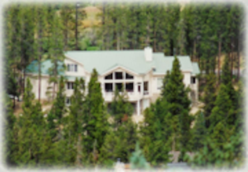 Back of House