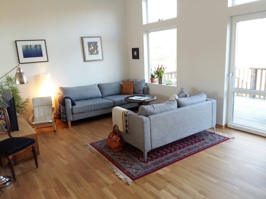 Stue med sovesofa (til 2)
