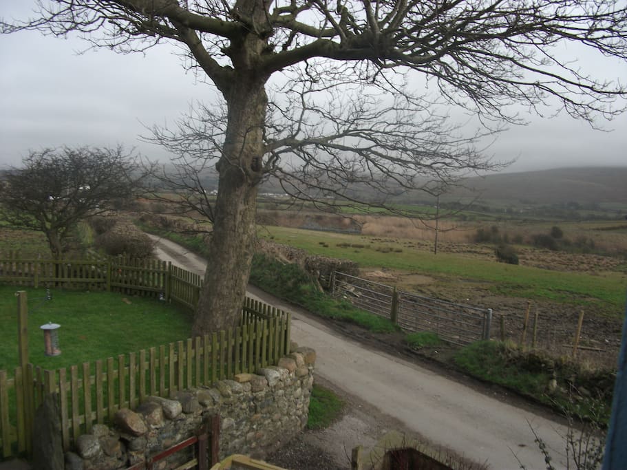 View from the Front door.