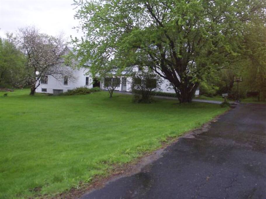 A front view of the house.