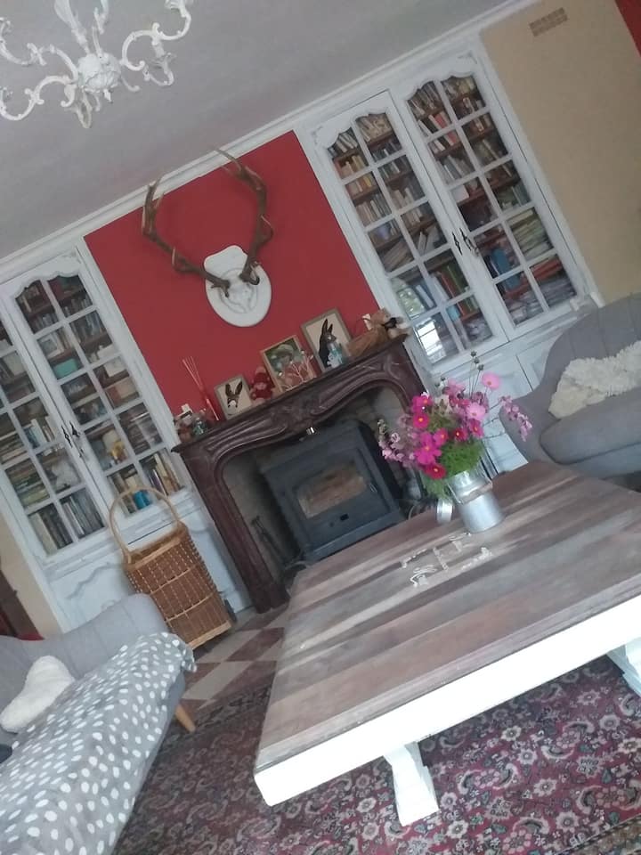 غرفة معيشة مع مدفأة وتلفزيون بشاشة كبيرة نتفليكس وقنوات فضائية