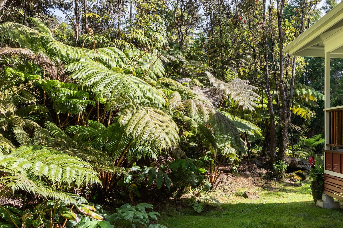 Lush tropical ferns and vibrant greenery frame the side of the cottage. The dense foliage contributes to a serene, private atmosphere, allowing guests to feel immersed in nature. Sunlight filters through the leaves, highlighting the rich textures of the plants.