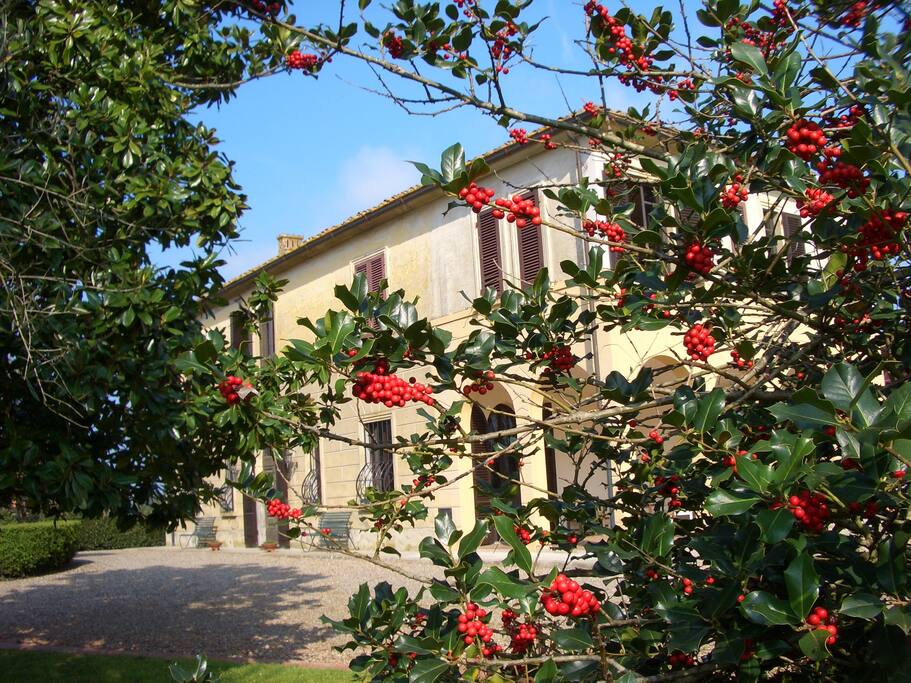 Villa