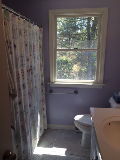 new bathroom as of 3/2016