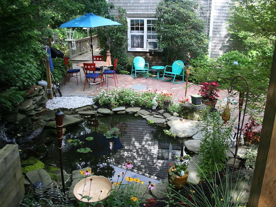 The Patio and pond