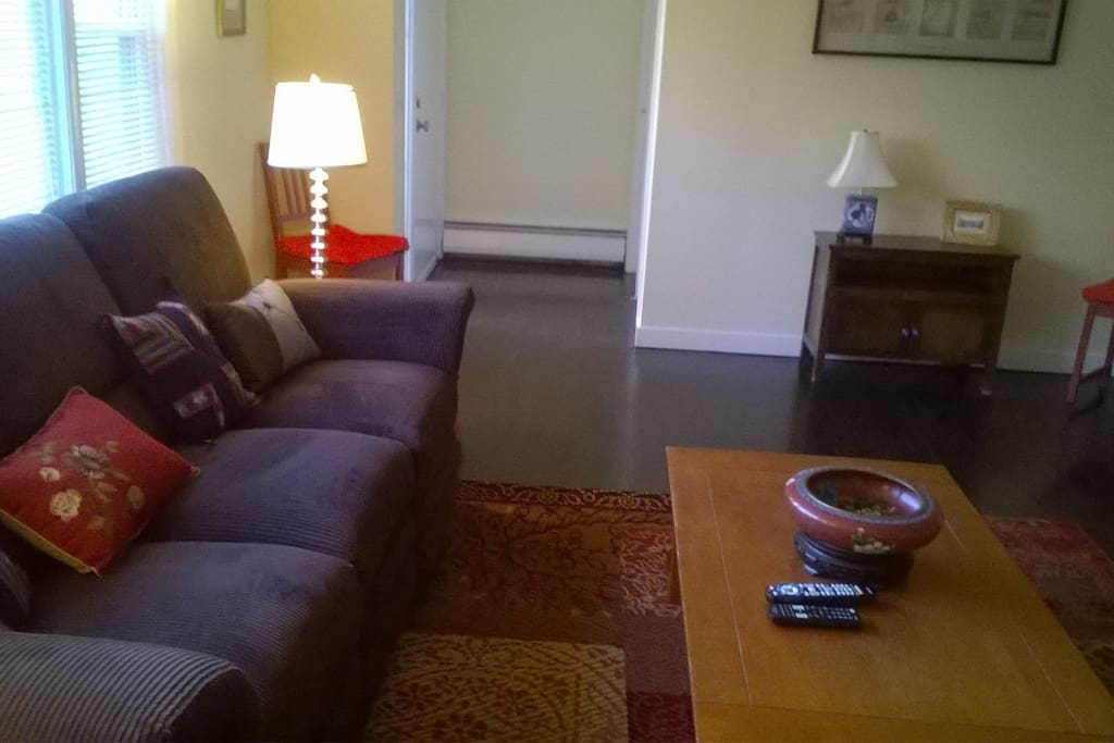 large living room, nicely furnished