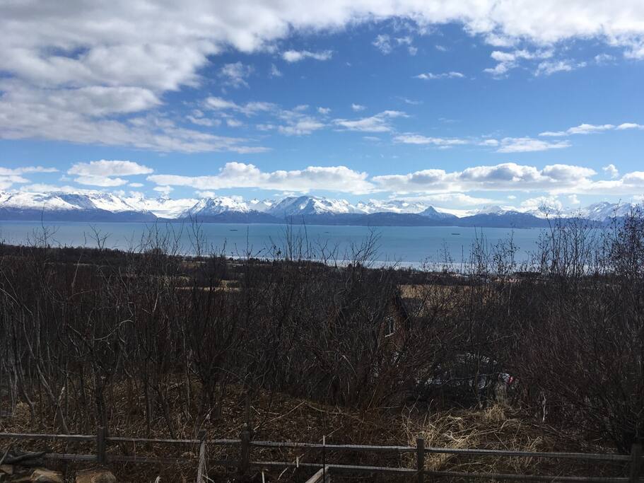 View of Kachemak Bay.
