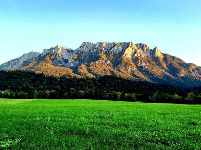 Airbnb Niederndorf Vacation Rentals Places To Stay Tyrol