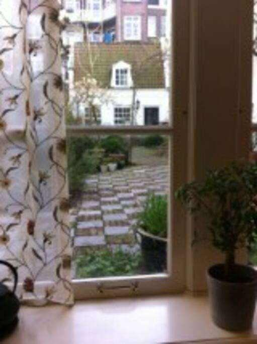 Garden view