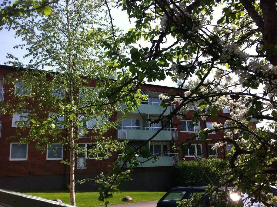 7A is on the ground floor - two large double-glazed windows + large door-window
