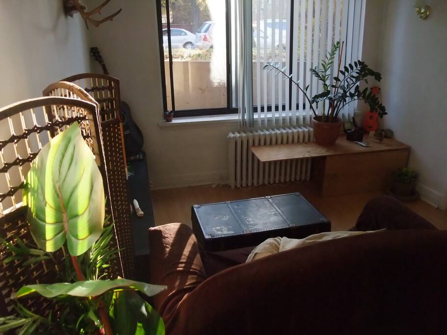 Le salon, vue sur la rue principale