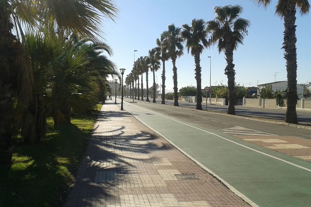 paseo y carril bici