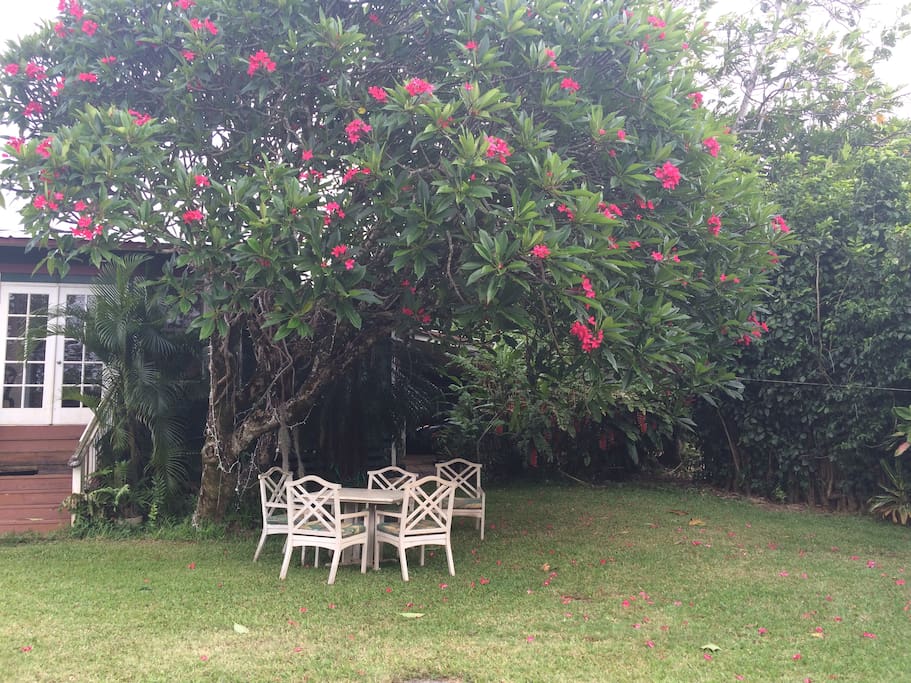 single women in paia Personal ads for paia, hi are a great way to find a life partner, movie date, or a quick hookup personals are for people local to paia, hi and are for ages 18+ of either sex. single women in paia Personal ads for paia, hi are a great way to find a life partner, movie date, or a quick hookup personals are for people local to paia, hi and are for ages 18+ of either sex.