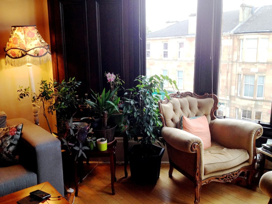 The Jungle/Reading Corner