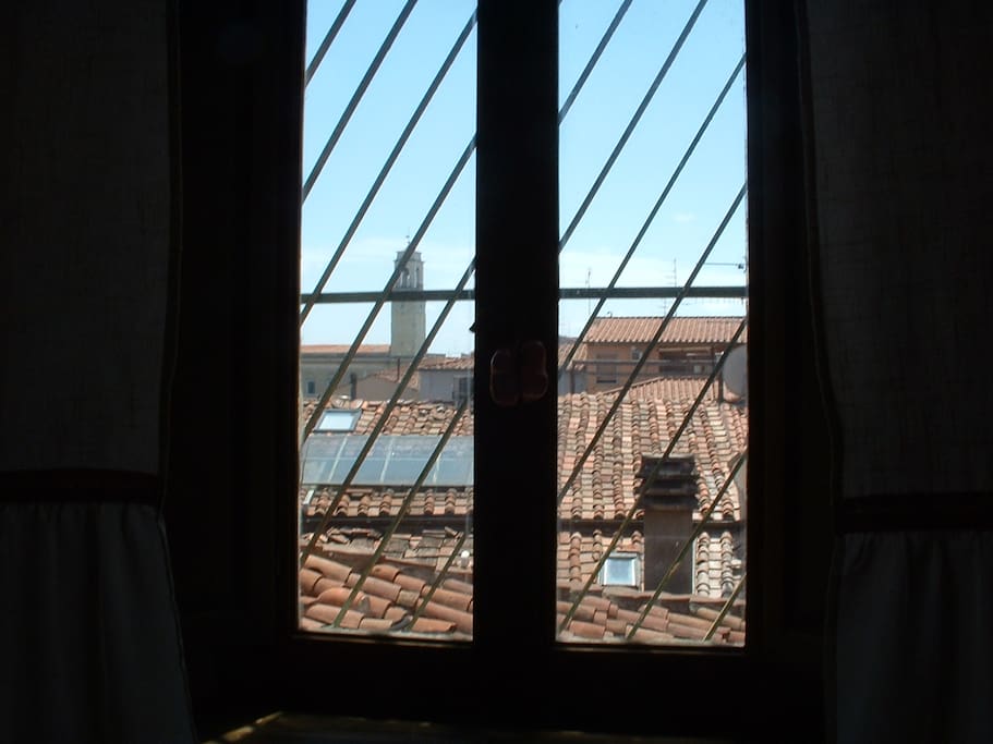 Tetti di Pisa dalla mansarda