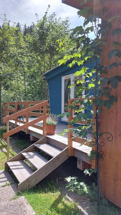 Blue Tiny House