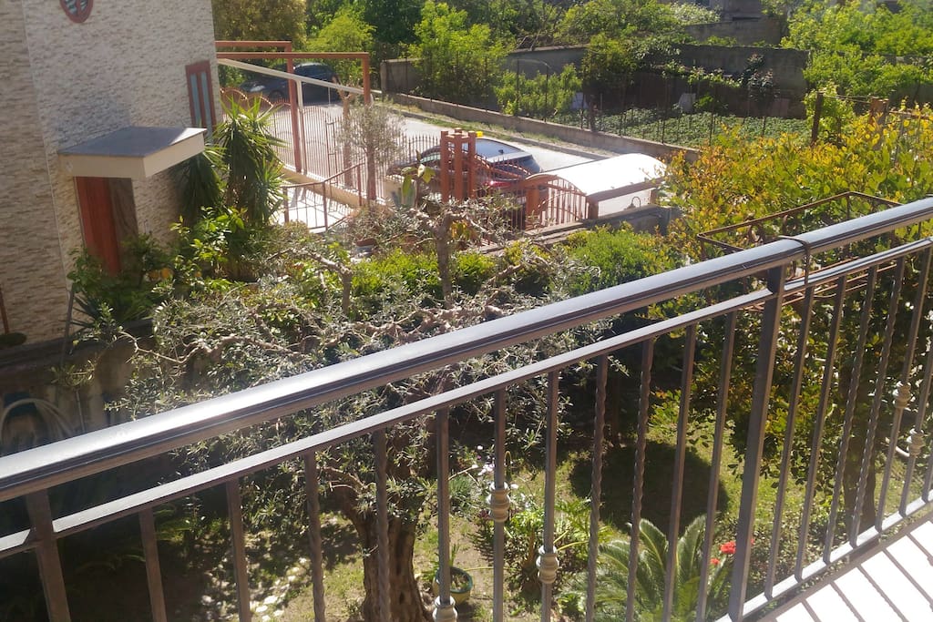 Vista giardino