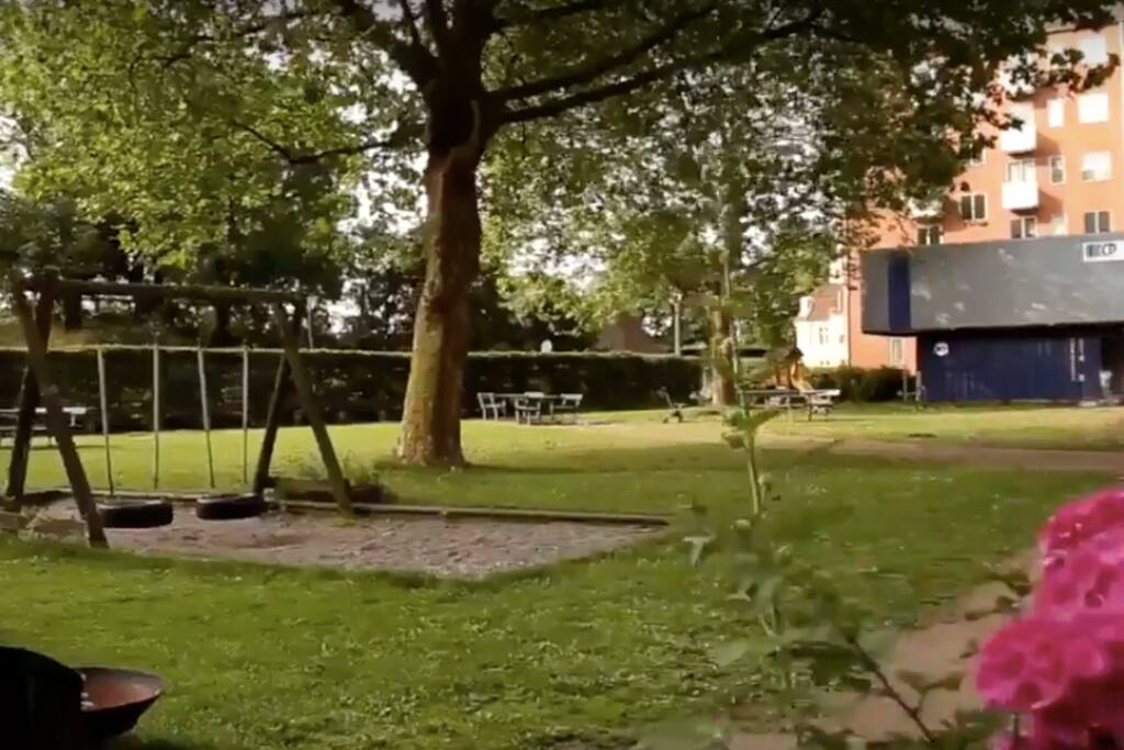 Spacious and sunny garden.