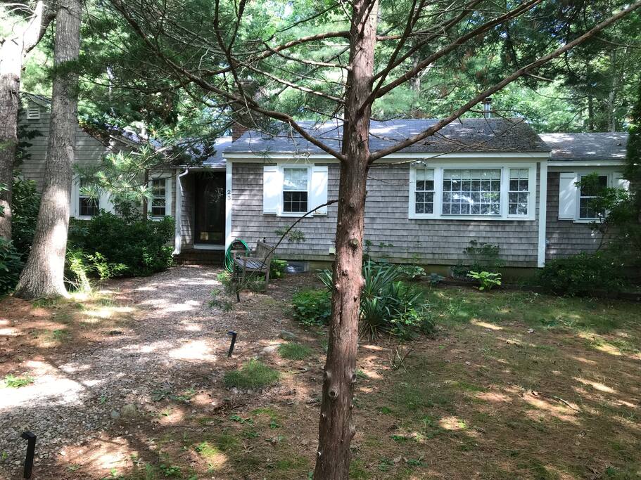 Quiet retreat in Orleans