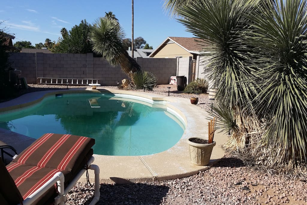 The backyard is a desert oasis, cozy and comfortable.
