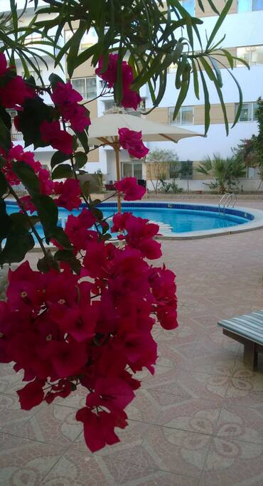 Outdoor