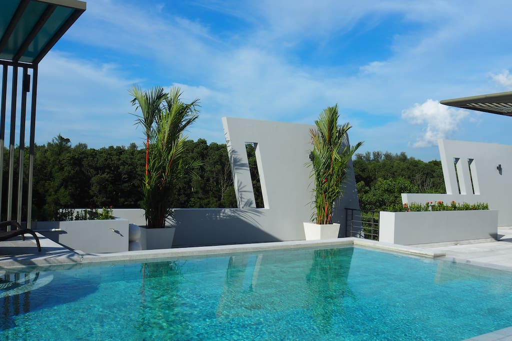 Swimming Pool on the terrace
