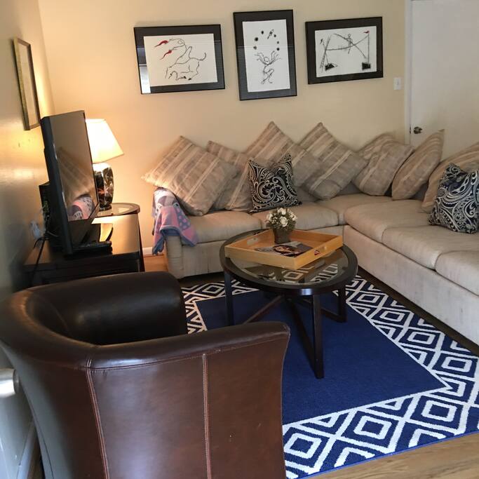 Two Large Comfortable Couches Suitable For Sleeping