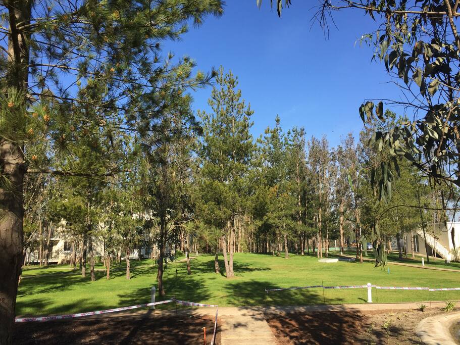 mas parque alrededor
