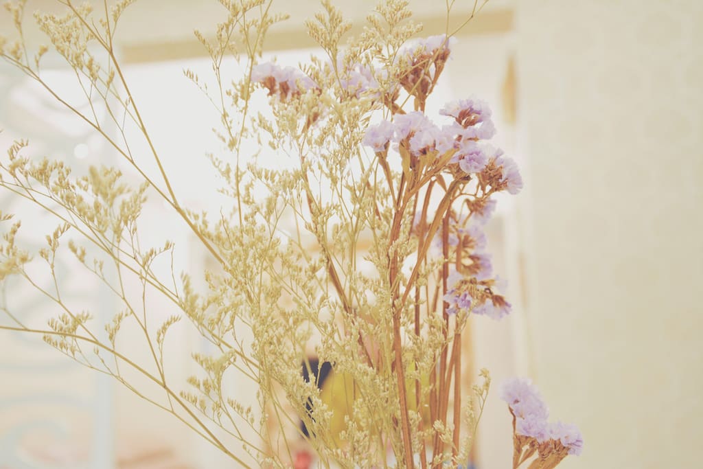 桌上的花儿