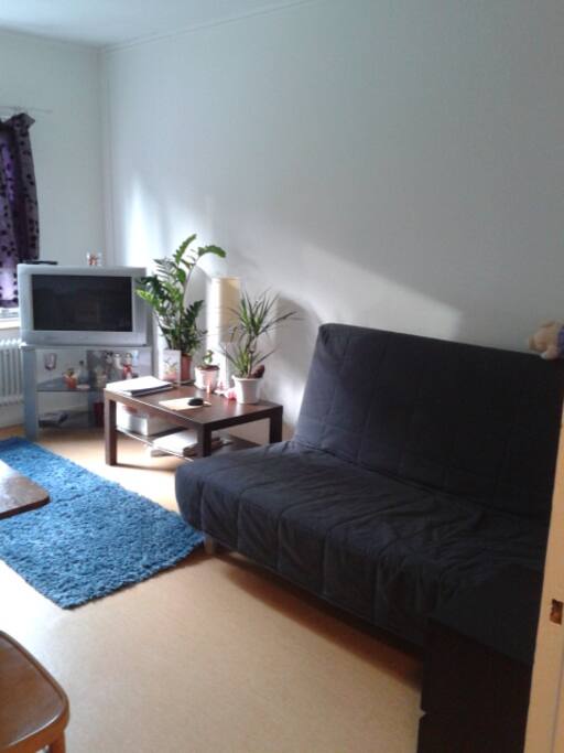 Sofa bed. Fold out to turn into a bed.