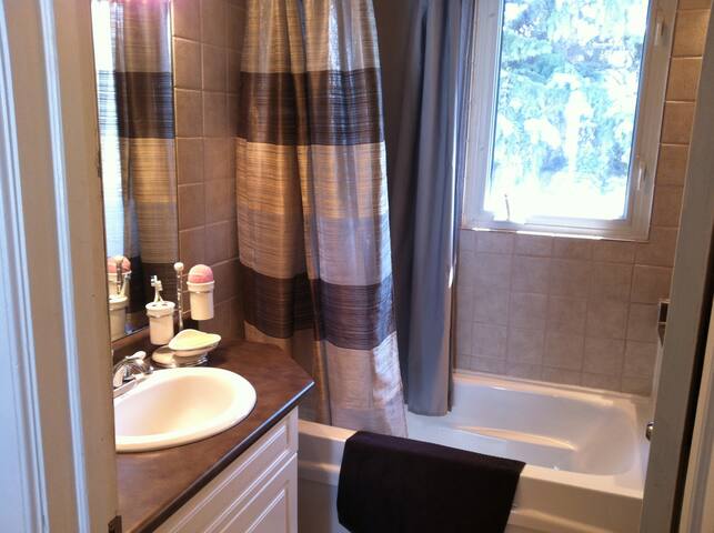 Large family home in Norwood flats, Winnipeg gallery image 4