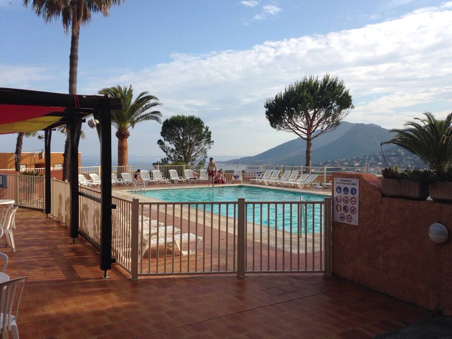 Grande piscine et nombreux transats