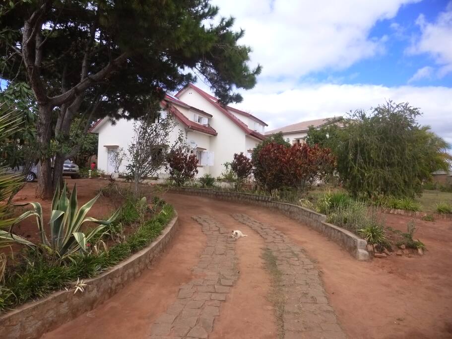 Allée du jardin