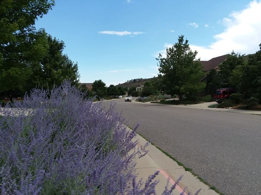 Follow the lavendar road to Our Happy Place!