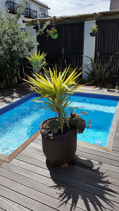 Splash pool in garden