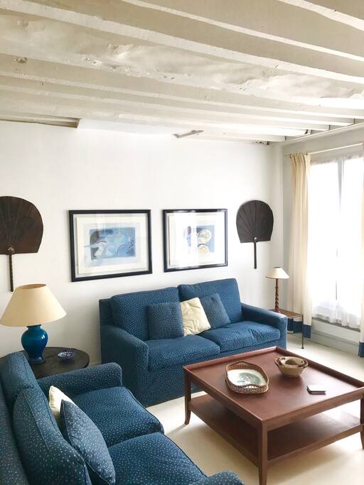 Living room two sofa