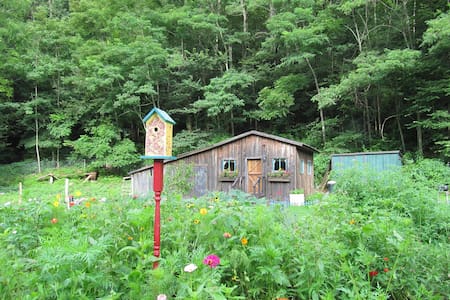 Renovated Barn in Seneca Rocks