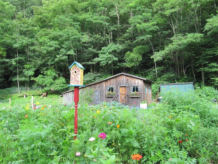 Tiny cabin in West Virginia near Seneca Rocks