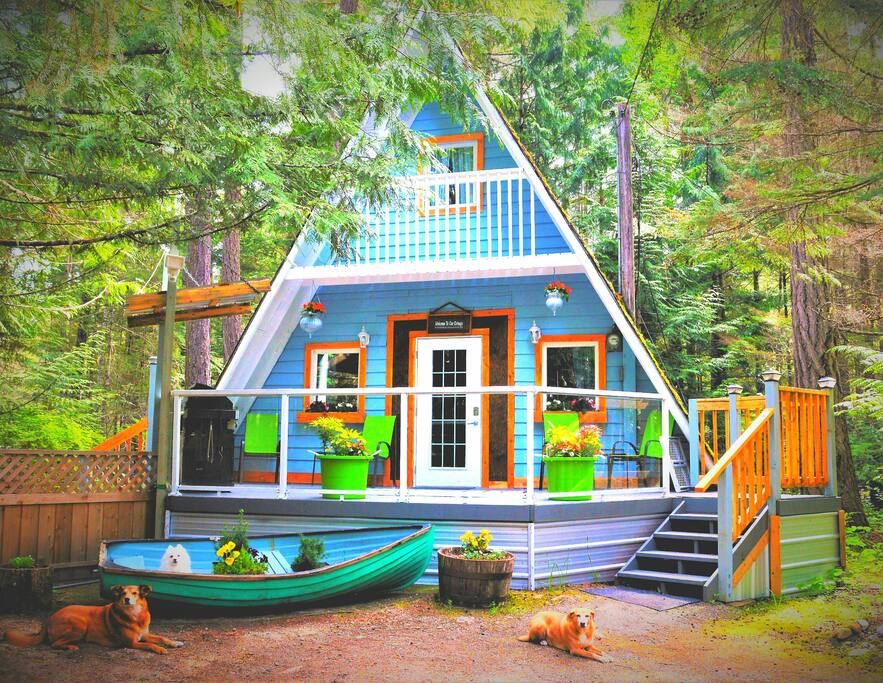 "This Cabin exceeded all my expectations, topped off with the most accommodating, respectful hosts."- Guest Review