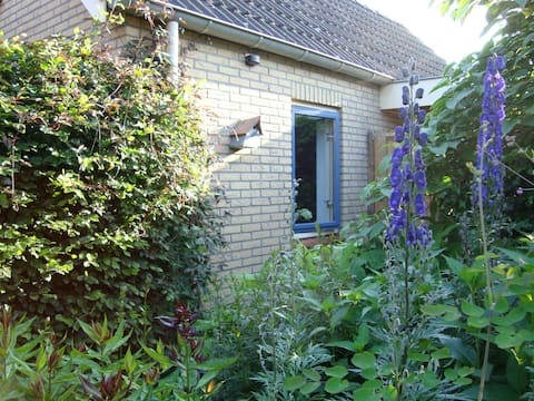 Welcome in the Butterfly House