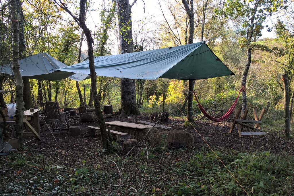 Woodland Camp with fire circle